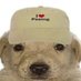 Scruffy (@tk_scwuffy) Twitter profile photo Scruffy (@tk_scwuffy) Twitter profile photo