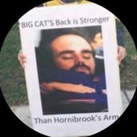 Big Cats Back(@BigCatsBack) 's Twitter Profile Photo