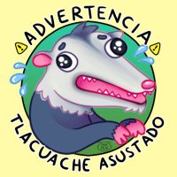 Tamarindo 🎩🇲🇽 (@soyun_tamapache) 's Twitter Profile