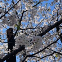 aj.wj1436 (@kurokuro27351) Twitter profile photo