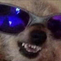 LOFTJET (@loftjet) 's Twitter Profile