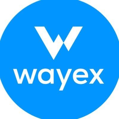 The New Way of Crypto 🦘💳. Spend cash or crypto in real-time with the Wayex #Visa Card!