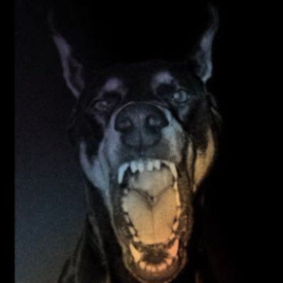 ZOG DOGさんのプロフィール画像