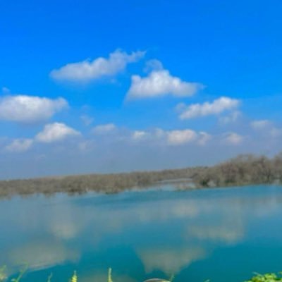 AmolDhote's profile picture. 