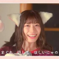 めいめい🐱度判定(@maymeicat823) 's Twitter Profile Photo