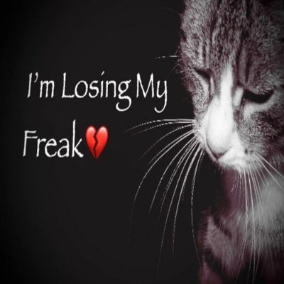 I'm Losing My Freak💔