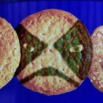 xradhita's profile picture. sometimes life is altered