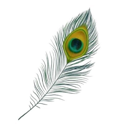 dnaj2000's profile picture. 