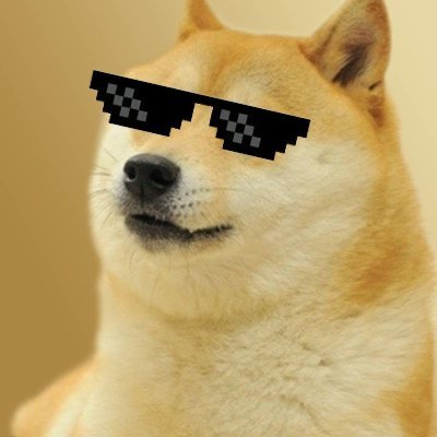 vlasta_eth's profile picture. stay humble