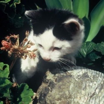 afterlilyme's profile picture. # ส่งต่อหนังสือต่าง ๆ 🎨 dm to talk only na ✊🏻