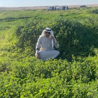 مستشار عقاري(مكتب محمد العجمي )الظهران (@mohamme50924764) 's Twitter Profile