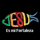 VidayAmordeDios's profile picture. Compartiendo diariamente enseñanzas de vida, que nos motiven a seguir esperando con Fe el propósito de Dios y confiar que El siempre cumple su promesa.