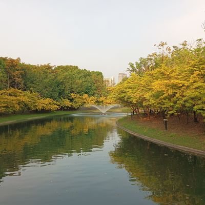 04122020ka's profile picture. 