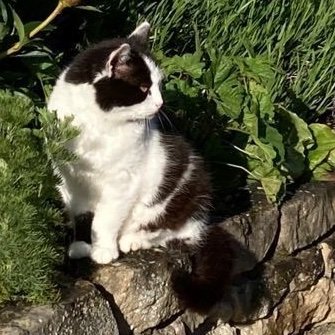 meow_wwww234 Profile Picture