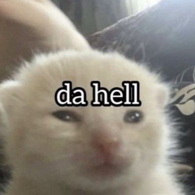 nindjiy's profile picture. i rant in messy grammar