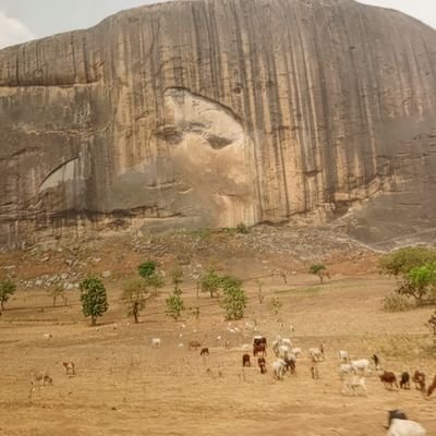 Aliussmann's profile picture. Tech nomads