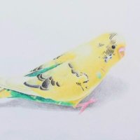 もふ/色鉛筆画 (@mofu_iroenpitu) 's Twitter Profile Photo もふ/色鉛筆画 (@mofu_iroenpitu) 's Twitter Profile Photo