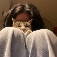 ANFAL (@dyanfal85874) 's Twitter Profile