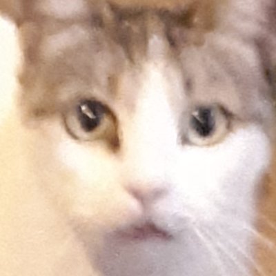 Kestrel7017's profile picture. - Official Propaganda Ministry of 🇮🇸Iceland -

skijumping, Eurovision
stanning underdogs, 🇮🇸🇪🇪🇸🇲 & nordics 
I'm a free bitch baby
priv @GamliThorparinn