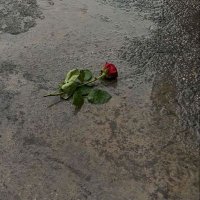 Ss (@slm947) Twitter profile photo