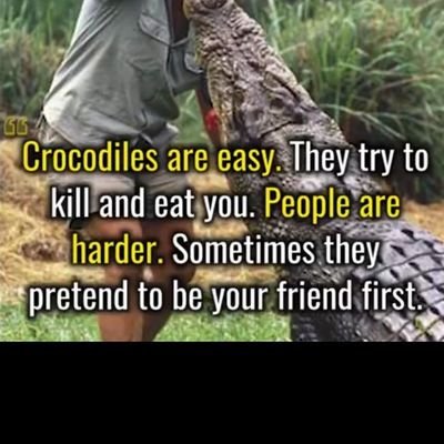 Elhakym47's profile picture. My Old Tweets 09-15 👎|| Agropreneur||
#Views Are Personal || 👮 || Mors Tua, Vita Mea