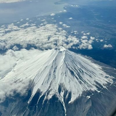 linyingying888's profile picture. 