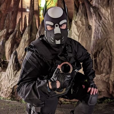 Gearhead Puppy ⚙️🐾 | 21, Taken, Owned | Posts are coming soon