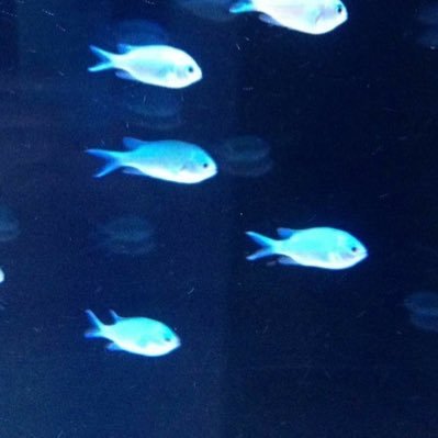 Mdnkbs's profile picture. 