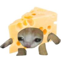 dr. cheese ྀིྀི 🍉 (@drunhingedkara) 's Twitter Profile