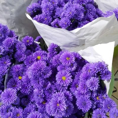 Ayhm_M10's profile picture. في لُجَّةِ الكِتَاب أرمي شِبَاكي، لأستَخرِجَ يَاقُوتَه وَمَرْجَانَه، أتنَشَّقُ الشِّعرَ، ليفوحَ مِني يومًا، ولِرُوحي في البَنَفْسَجِ حَياةٌ.