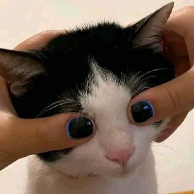 Pussygotfuri's profile picture. You may not know the real me