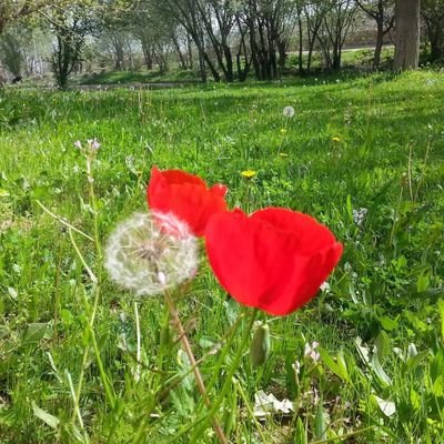 انسانیت و شرافت چیزی گرانبهاست نباید از هرکسی توقع داشت.