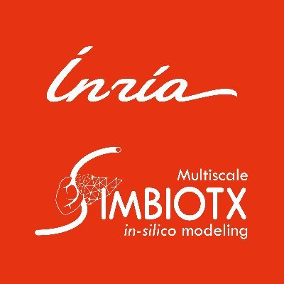 Part of Inria Saclay, SIMBIOTX aims at developing spatial-temporal in silico twins of the respective in vitro and in vivo systems at multiple levels