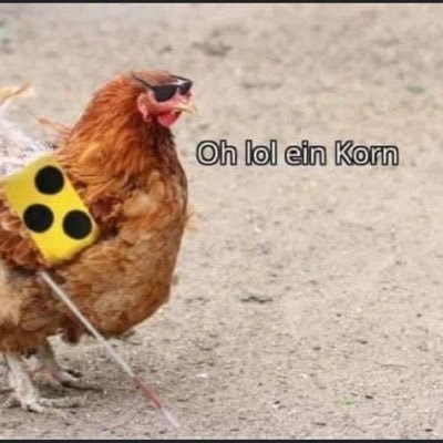 Wenn Freiheitsfeinde aus Versehen basiert sind. Einreichung von deutschsprachigen Qualitätsposts via DM oder Markierung.