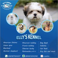 Elly’s kennel(@elly_kennel) 's Twitter Profile Photo
