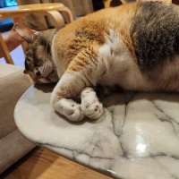 Giantone (@giantone5) 's Twitter Profile