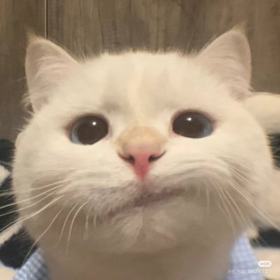 tatum444's profile picture. my baby #.... 🐥 fan account **โปรดอ่านเค้าเป็นลิลลี่ ติ่งศลปค่ายLLOUD ไม่เป็นชิปฯเน้นว่าไม่ชิป แถม non kpop (ถาวร)ด้วยนะจ๊ะ 💛💛