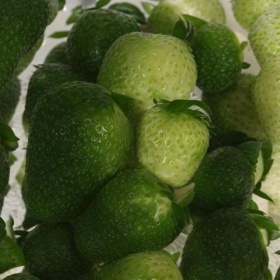 0xful's profile picture. Options are my own.