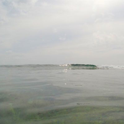 gogogo7311's profile picture. 辛抱、我慢