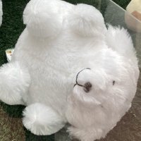 むに (@na__nandato) 's Twitter Profile Photo