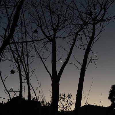 kuuki4594's profile picture. 成人済み / 20↑ / 閲覧専用垢 / 無言フォロー失礼します。