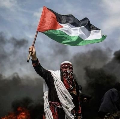 I stand with Palestine 🇦🇪🇧🇩