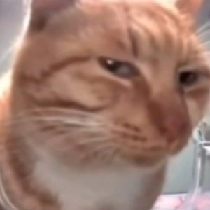 nattu669's profile picture. 