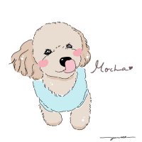 mihocchi【愛犬はモカ】(@mihocchi6) 's Twitter Profile Photo