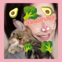 𝑲𝒂𝒏𝒂😊かな(@kanaderutsuki) 's Twitter Profile Photo