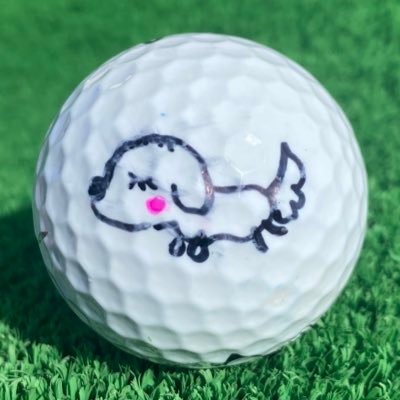 ゴルフ大好きエンジョイゴルファー⛳️栃木〜茨城⛳️2023 Avg. 81⛳️ベスト69／ハーフ31⛳️2024シーズンベスト72⛳️犬も大好き🐶今年から競技ゴルフに挑戦💪