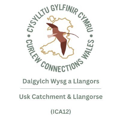 Cysylltu Gylfinir Cymru, Dalgylch Wysg ac Llangors Ardal Prosiect (ICA12)

Curlew Connections Wales, Usk Catchment & Llangorse Project Area (ICA12).