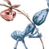 Group Chat Network Creative (@gldtrntlainc) 's Twitter Profile