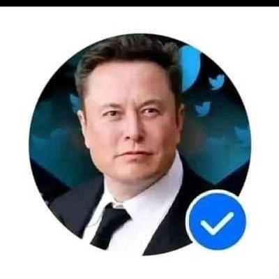 Founder, CEO, and chief engineer of SpaceX
* CEO and product architect of Tesla, Inc.
* Owner and CTO of X, formerly Twitter
* President of the Musk Foundation.