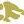 CityFishYYC's profile image